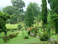Шри Ланка, Перадения. Ботанический сад